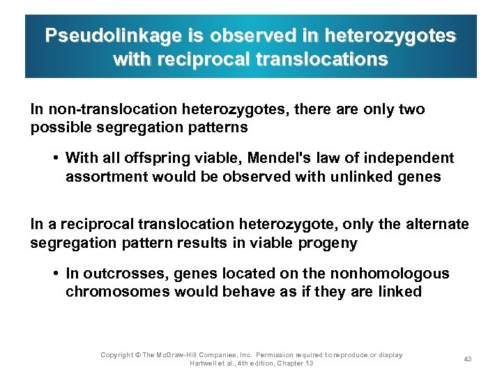 Pseudolinkage is observed in heterozygotes with reciprocal translocations In non-translocation heterozygotes, there are only
