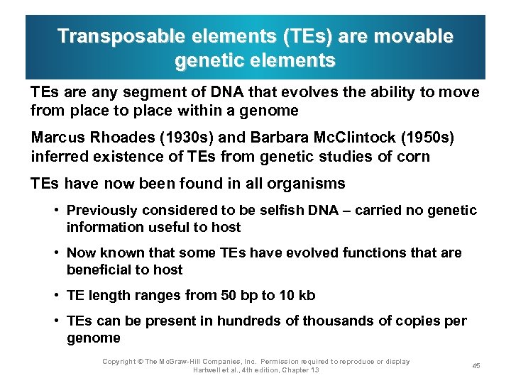 Transposable elements (TEs) are movable genetic elements TEs are any segment of DNA that