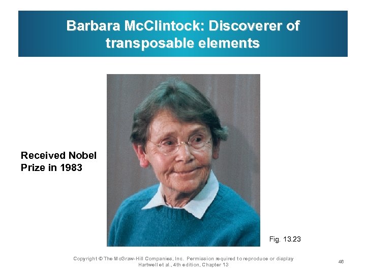 Barbara Mc. Clintock: Discoverer of transposable elements Received Nobel Prize in 1983 Fig. 13.