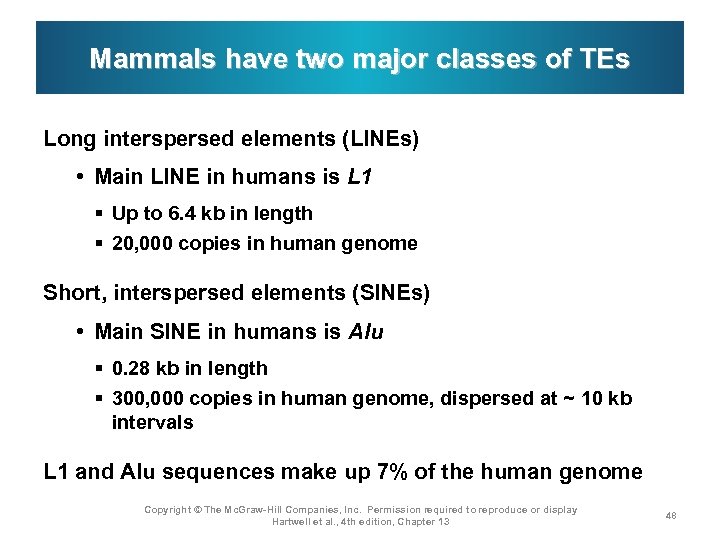 Mammals have two major classes of TEs Long interspersed elements (LINEs) • Main LINE
