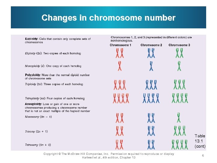 Changes in chromosome number Table 13. 1 (cont) Copyright © The Mc. Graw-Hill Companies,