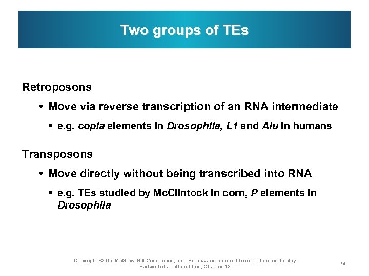 Two groups of TEs Retroposons • Move via reverse transcription of an RNA intermediate