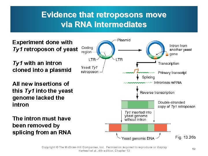 Evidence that retroposons move via RNA intermediates Experiment done with Ty 1 retroposon of