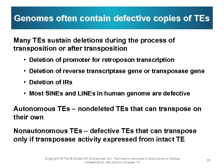 Genomes often contain defective copies of TEs Many TEs sustain deletions during the process