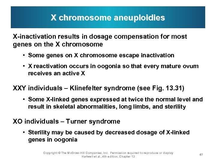 X chromosome aneuploidies X-inactivation results in dosage compensation for most genes on the X