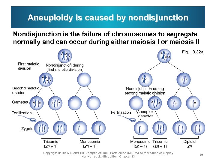 Aneuploidy is caused by nondisjunction Nondisjunction is the failure of chromosomes to segregate normally