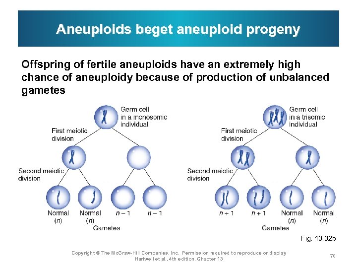 Aneuploids beget aneuploid progeny Offspring of fertile aneuploids have an extremely high chance of