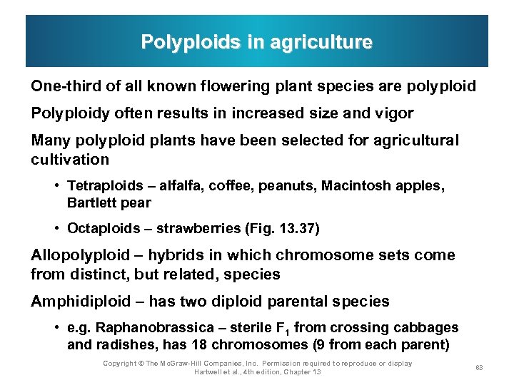 Polyploids in agriculture One-third of all known flowering plant species are polyploid Polyploidy often