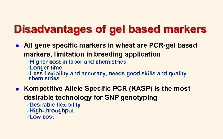 Disadvantages of gel based markers l All gene specific markers in wheat are PCR-gel