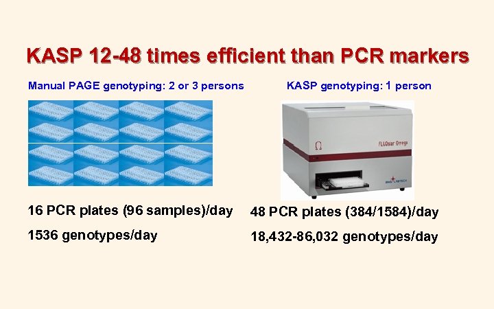 KASP 12 -48 times efficient than PCR markers Manual PAGE genotyping: 2 or 3