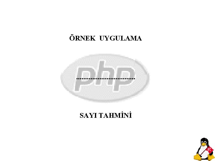 ÖRNEK UYGULAMA . . . . SAYI TAHMİNİ 