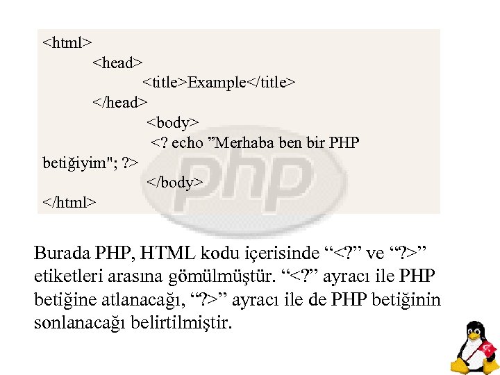 <html> <head> <title>Example</title> </head> <body> <? echo ”Merhaba ben bir PHP betiğiyim"; ? >