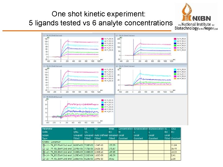 One shot kinetic experiment: 5 ligands tested vs 6 analyte concentrations 