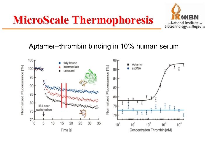 Micro. Scale Thermophoresis Aptamer–thrombin binding in 10% human serum 