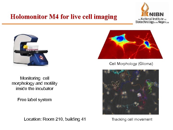 Holomonitor M 4 for live cell imaging Cell Morphology (Glioma) Monitoring cell morphology and