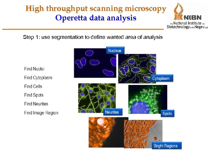 High throughput scanning microscopy Operetta data analysis Step 1: use segmentation to define wanted