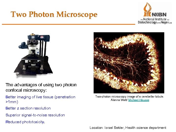 Two Photon Microscope The advantages of using two photon confocal microscopy: Better imaging of