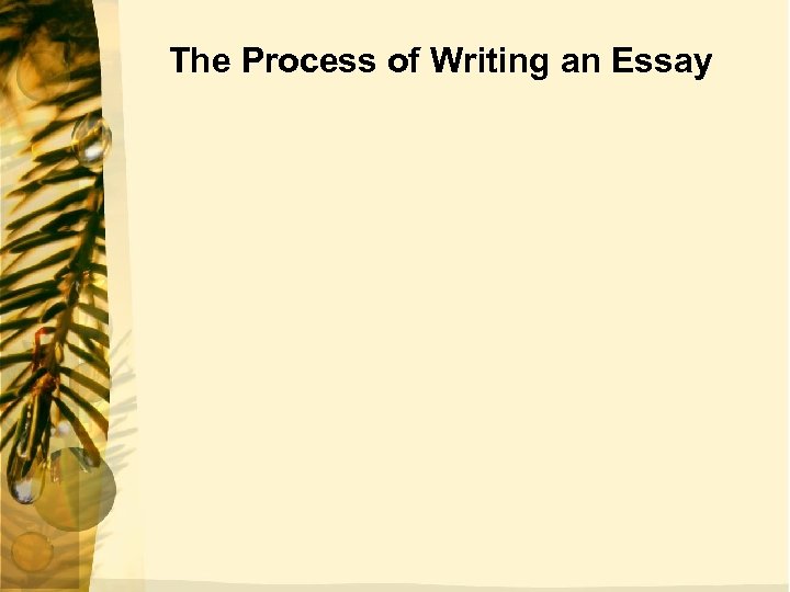 The Process of Writing an Essay 