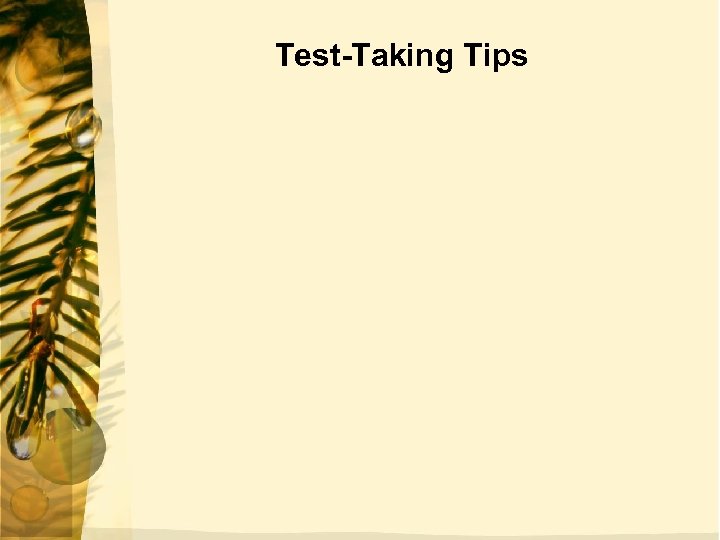 Test-Taking Tips 