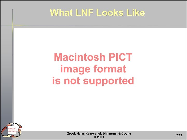 What LNF Looks Like Good, Harn, Kame'enui, Simmons, & Coyne © 2003 111 