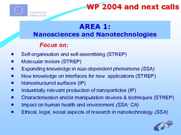 WP 2004 and next calls AREA 1: Nanosciences and Nanotechnologies Focus on: · ·