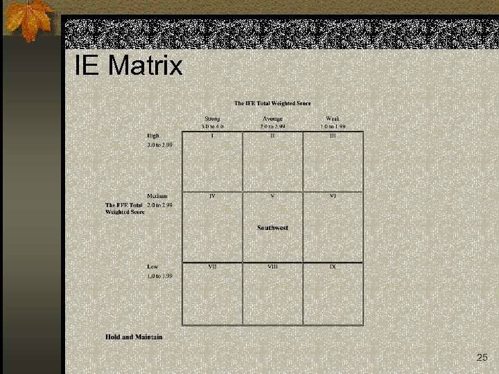IE Matrix 25 