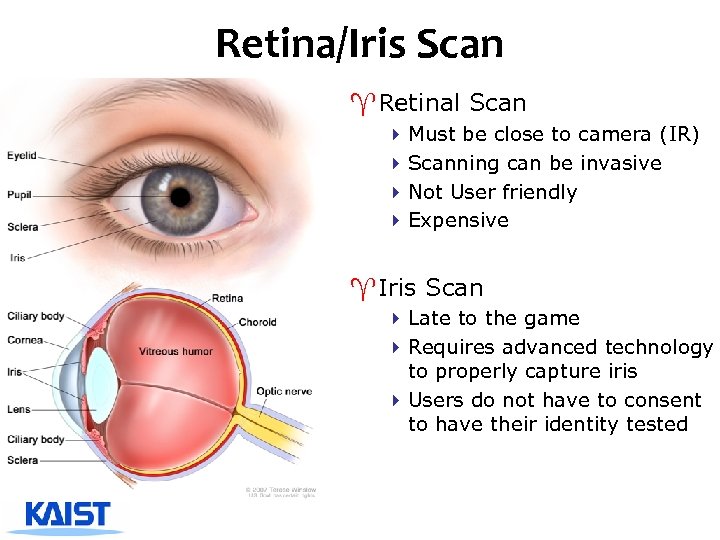 Retina/Iris Scan ^Retinal Scan 4 Must be close to camera (IR) 4 Scanning can
