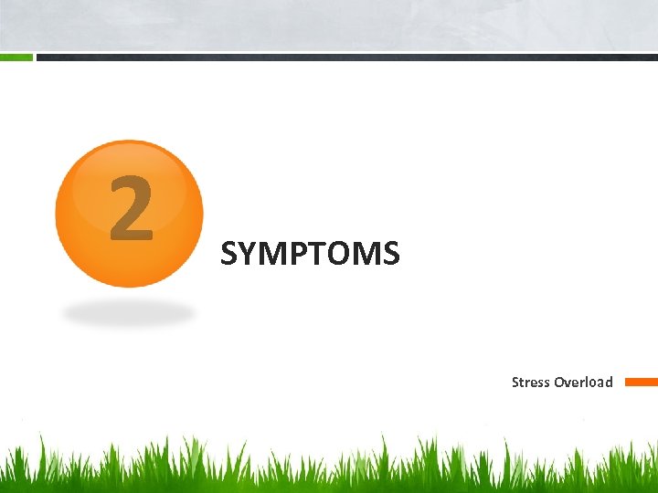 2 SYMPTOMS Stress Overload 
