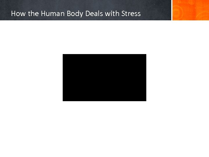 How the Human Body Deals with Stress 