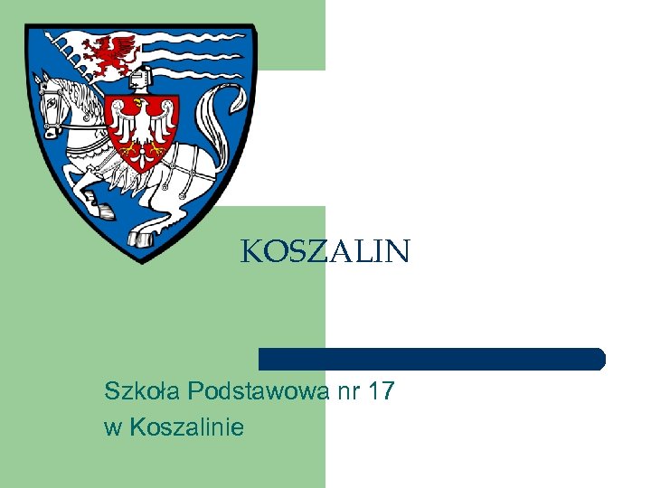 KOSZALIN Szkoła Podstawowa nr 17 w Koszalinie 
