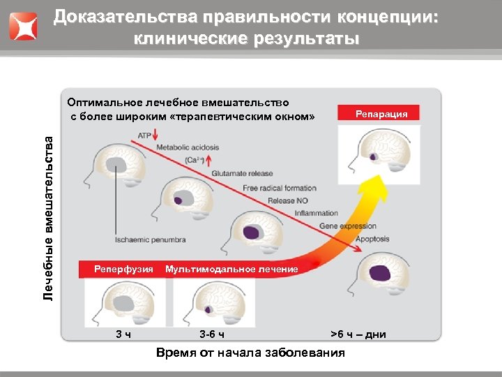 Доказательства правильности концепции: клинические результаты Лечебные вмешательства Оптимальное лечебное вмешательство с более широким «терапевтическим