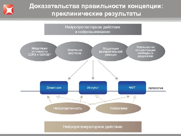 Доказательства правильности концепции: преклинические результаты 