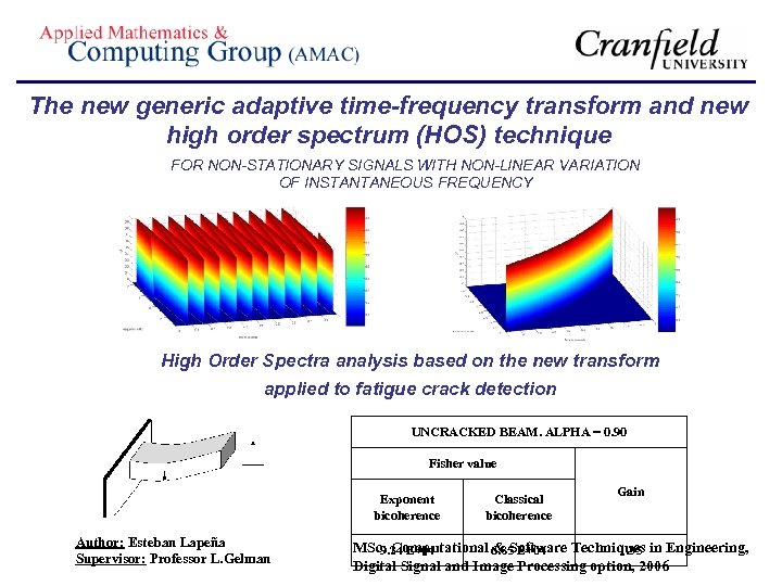The new generic adaptive time-frequency transform and new high order spectrum (HOS) technique FOR