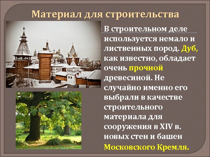 Материал для строительства В строительном деле используется немало и лиственных пород. Дуб, как известно,