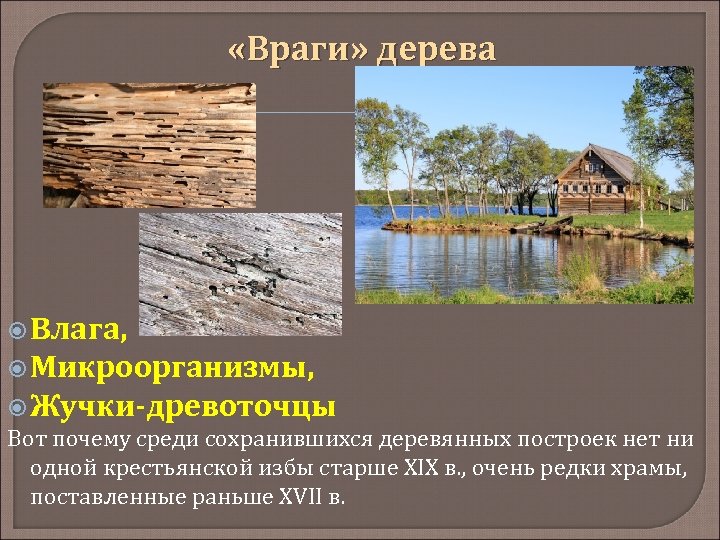  «Враги» дерева Влага, Микроорганизмы, Жучки-древоточцы Вот почему среди сохранившихся деревянных построек нет ни