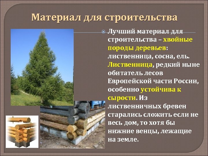 Материал для строительства Лучший материал для строительства – хвойные породы деревьев: лиственница, сосна, ель.