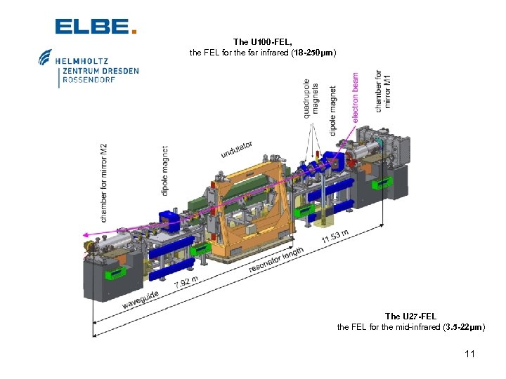 The U 100 -FEL, the FEL for the far infrared (18 -250μm) The U