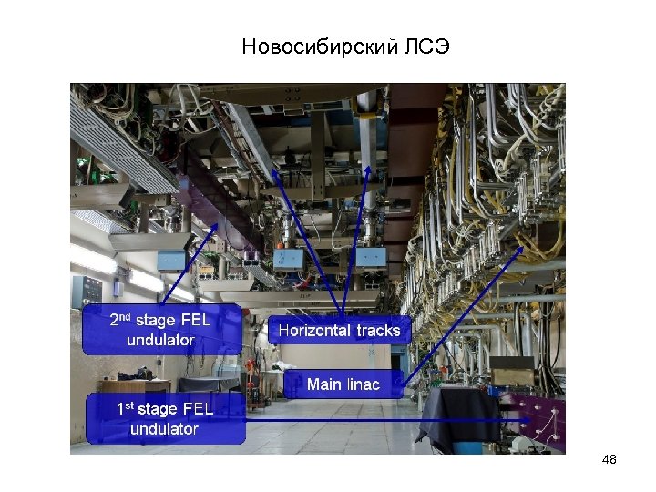 Новосибирский ЛСЭ 48 