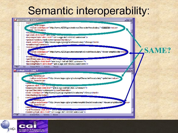 Semantic interoperability: SAME? 