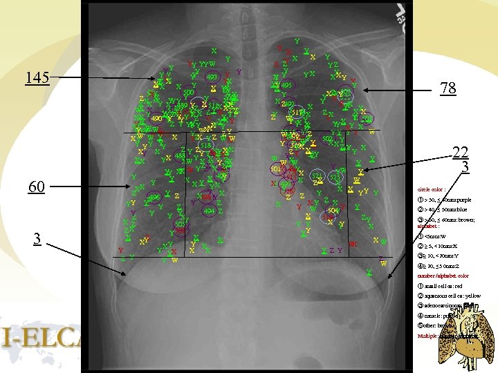 Y X Y 145 60 3 YY YY W YY Y 493 Y Y