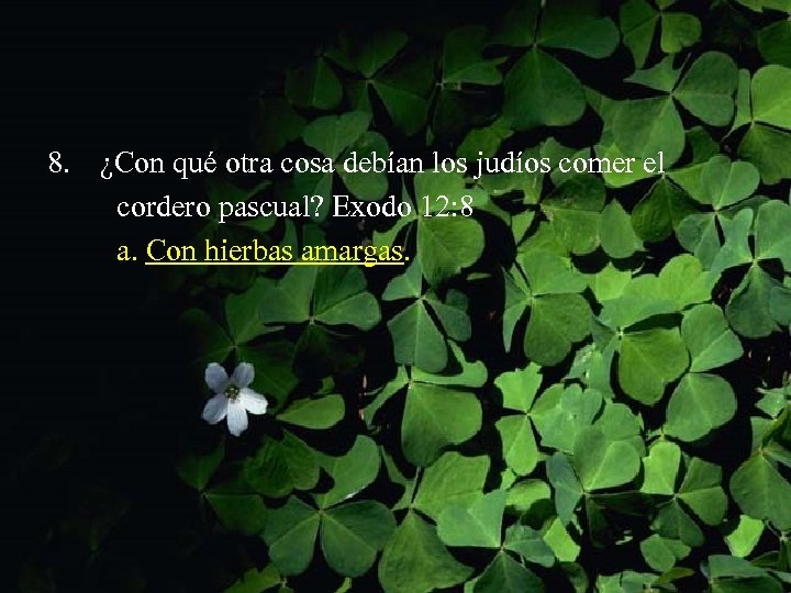 8. ¿Con qué otra cosa debían los judíos comer el cordero pascual? Exodo 12: