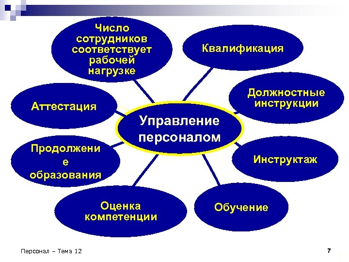 Число сотрудников соответствует рабочей нагрузке Квалификация Должностные инструкции Аттестация Продолжени е образования Управление персоналом