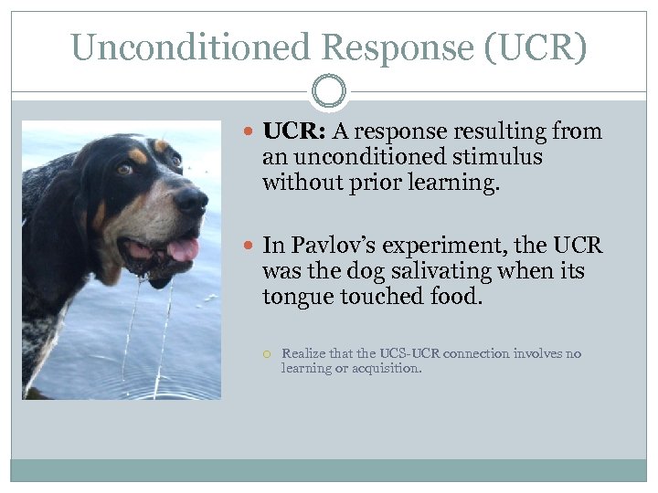 Unconditioned Response (UCR) UCR: A response resulting from an unconditioned stimulus without prior learning.