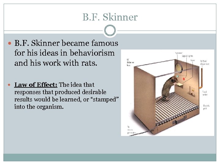 B. F. Skinner became famous for his ideas in behaviorism and his work with