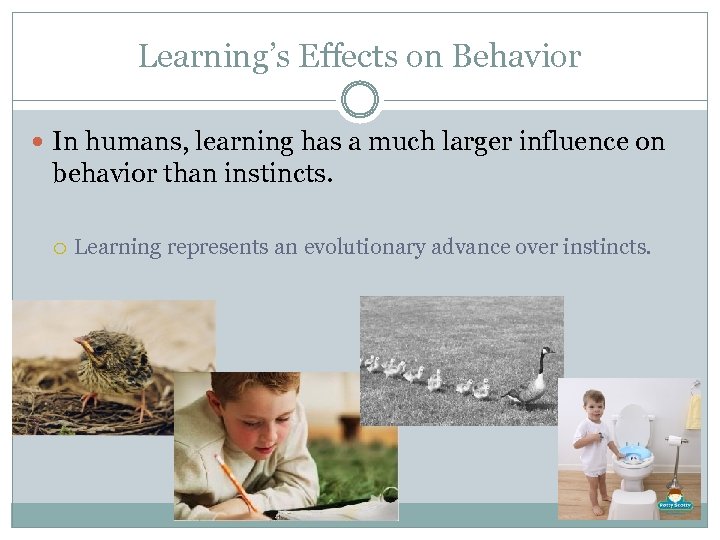 Learning’s Effects on Behavior In humans, learning has a much larger influence on behavior