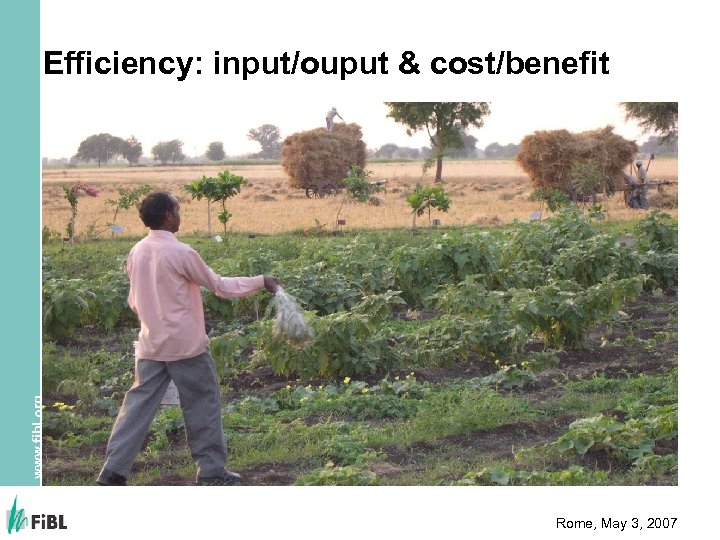 www. fibl. org Efficiency: input/ouput & cost/benefit Rome, May 3, 2007 