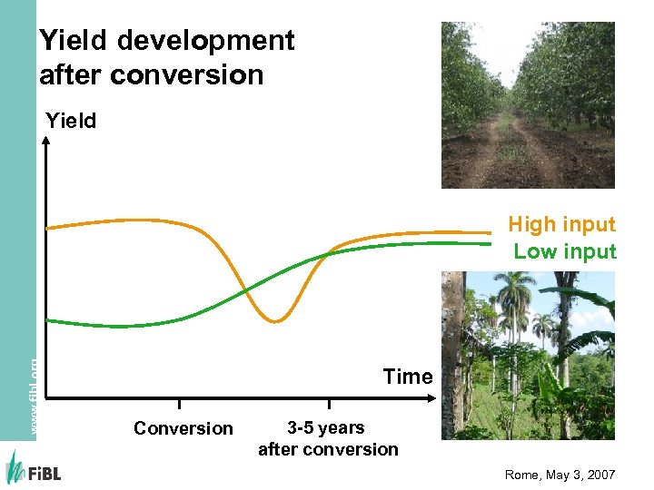 Yield development after conversion Yield www. fibl. org High input Low input Time Conversion