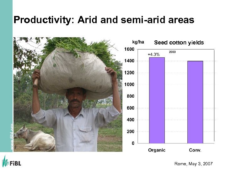 Productivity: Arid and semi-arid areas www. fibl. org Seed cotton yields Rome, May 3,