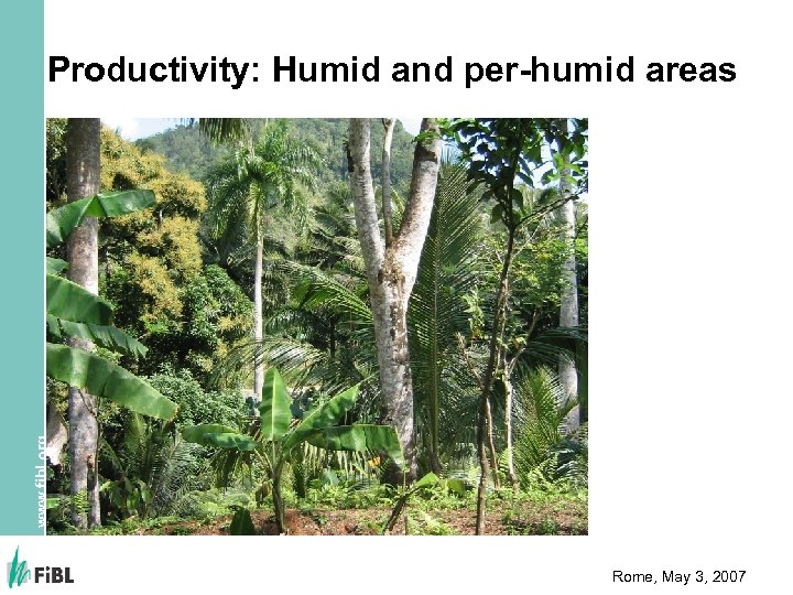 www. fibl. org Productivity: Humid and per-humid areas Rome, May 3, 2007 