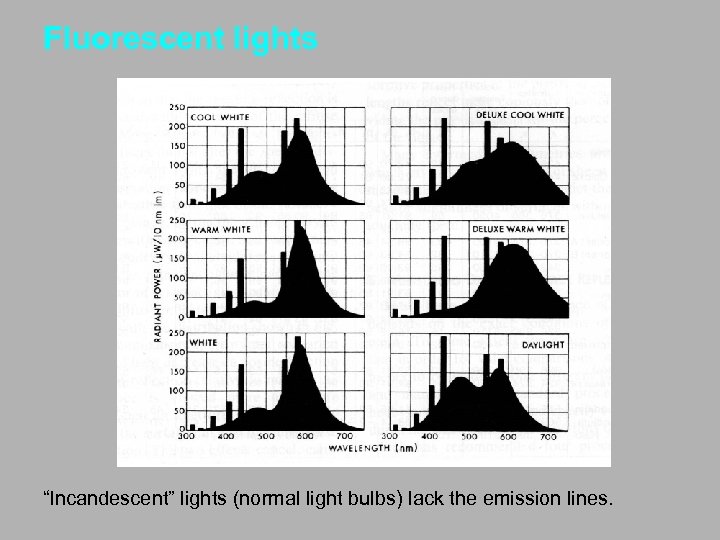 Fluorescent lights “Incandescent” lights (normal light bulbs) lack the emission lines. 